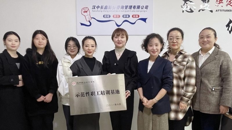 股权动态调整机制：企业治理的灵活与稳健**