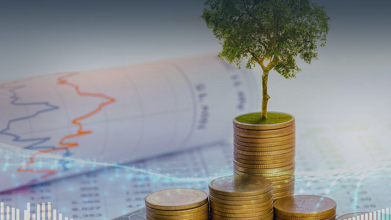 集团总部职能优化：揭秘高效运营背后的策略**